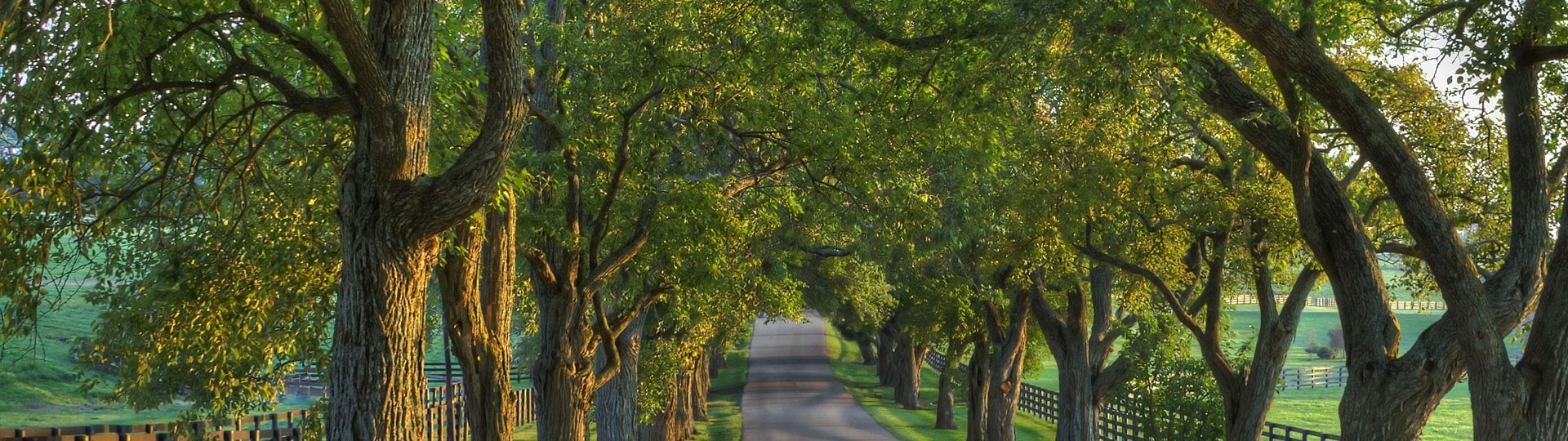 Endodontics Lexington & Danville KY, Endodontist